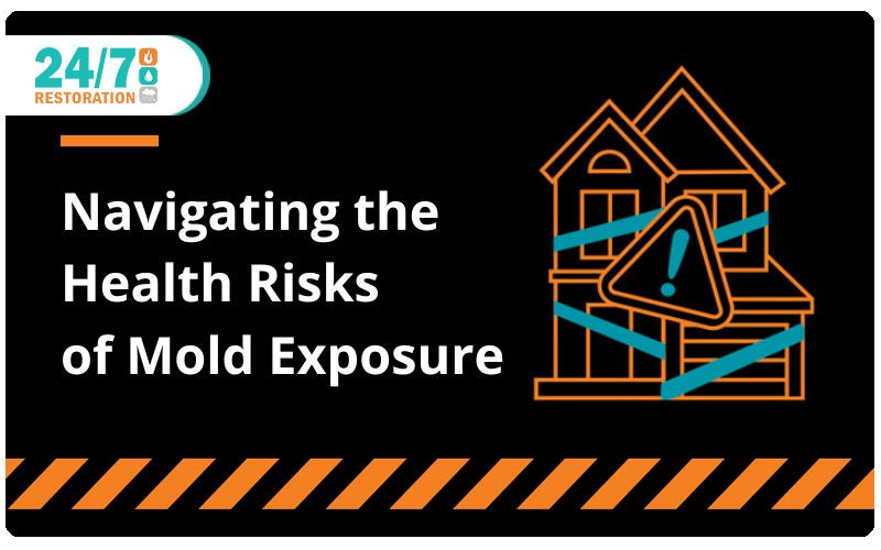 Navigating the Health Risks of Mold Exposure